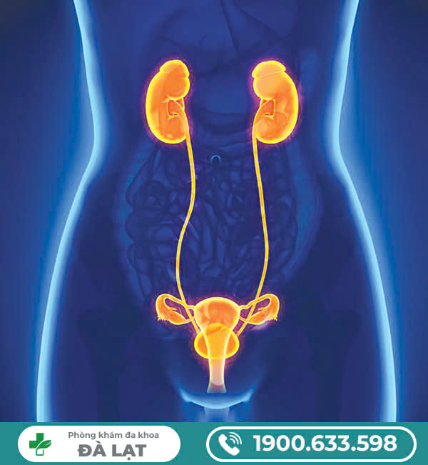 Hình ảnh minh họa